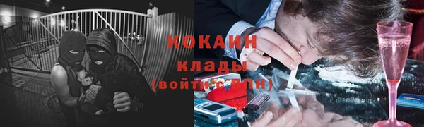 прущие грибы Абинск