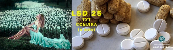 прущие грибы Абинск